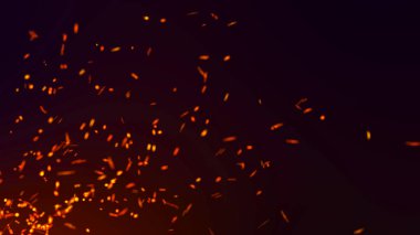 Parçacıkların soyut arkaplanı. Uçan kıvılcımlar. 4k arkaplan.