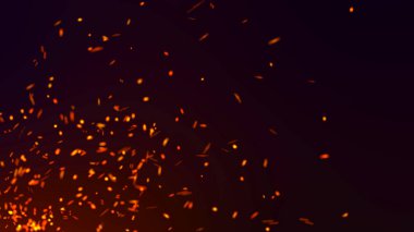 Parçacıkların soyut arkaplanı. Uçan kıvılcımlar. 4k arkaplan.