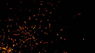 Parçacıkların soyut arkaplanı. Uçan kıvılcımlar. 4k arkaplan.