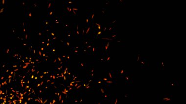 Parçacıkların soyut arkaplanı. Uçan kıvılcımlar. 4k arkaplan.