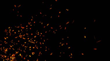 Parçacıkların soyut arkaplanı. Uçan kıvılcımlar. 4k arkaplan.