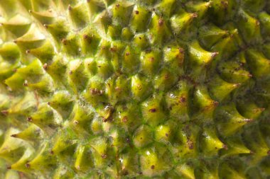 Meyve, durian ve durian kabuklarının kralı beyaz arka planda izole edildi