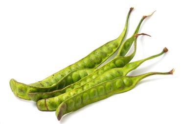 Beyaz arka planda parkia speciosa (petai, acı fasulye, bükülmüş fasulye, kokuşmuş fasulye).