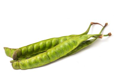 Beyaz arka planda parkia speciosa (petai, acı fasulye, bükülmüş fasulye, kokuşmuş fasulye).