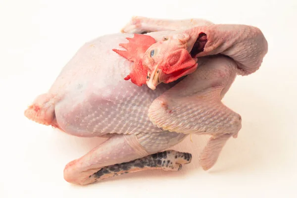 Roh Frisches Huhn Isoliert Auf Weißem Hintergrund Ayam Kampong Oder — Stockfoto