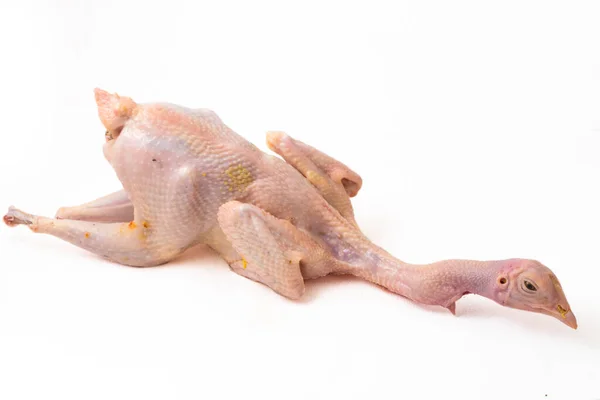 Poulet Frais Cru Isolé Sur Fond Blanc Ayam Kampong Kampung — Photo