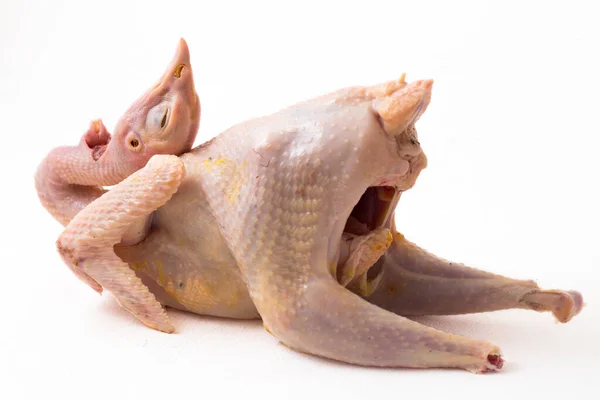 Roh Frisches Huhn Isoliert Auf Weißem Hintergrund Ayam Kampong Oder — Stockfoto