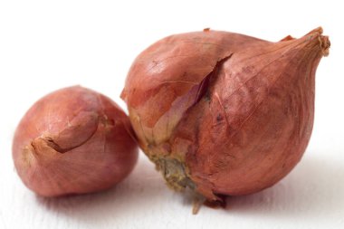 Beyaz arkaplanda taze soğanlar izole edildi