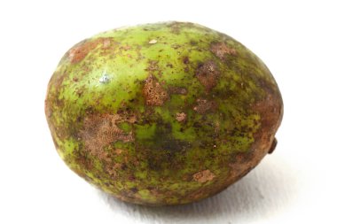 ambarella meyvesi beyaz arkaplanda izole