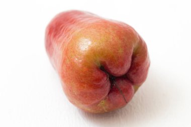 Beyaz arkaplana izole gül elması veya chomphu veya Java elması veya Syzygium tohumu