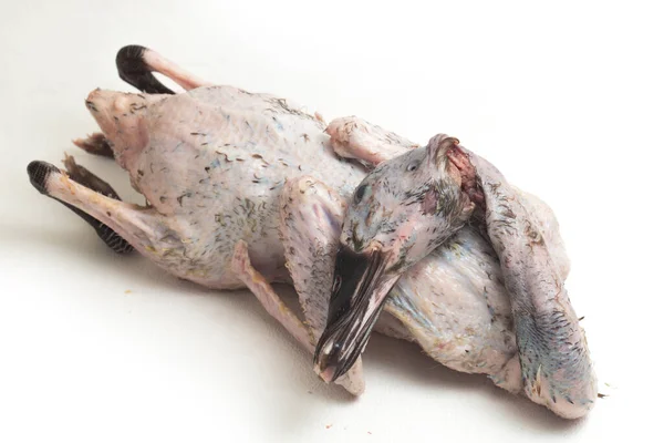 Raw Fresh Indian Runner Duck Isoliert Auf Weißem Hintergrund — Stockfoto