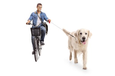 Genç adam ile beyaz arka plan üzerinde izole bir labrador retriever köpek Bisiklete binme