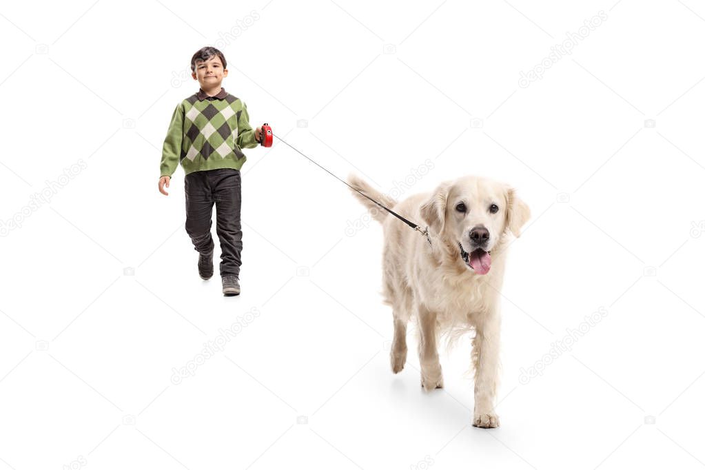 Full length portrait of a little boy walking a dog isolated on white background