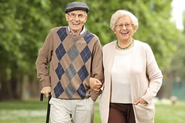 Feliz Pareja Ancianos Aire Libre — Foto de Stock