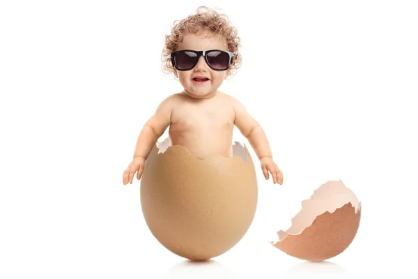 Baby Boy Wearing Pair Sunglasses Coming Out Eggshell Isolated White — Stock Photo, Image