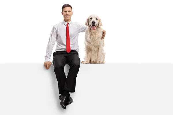 正式打扮的家伙与拉布拉多猎犬狗坐在一个面板上孤立的白色背景 — 图库照片