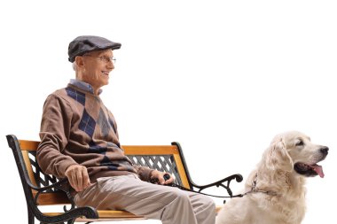 Kıdemli beyaz arka plan üzerinde izole bir bankta oturmuş bir köpekle