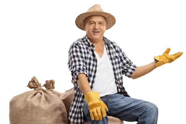 Velho Agricultor Sentado Sacos Serapilheira Gesticulando Com Mão Isolada Fundo — Fotografia de Stock