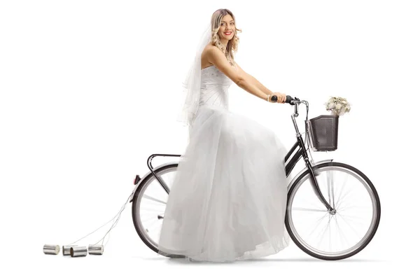 Bride Riding Bicycle Looking Camera Isolated White Background Royalty Free Stock Images