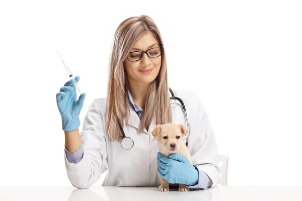 Veterinário Fêmea Segurando Uma Injeção Para Filhote Cachorro Isolado Fundo — Fotografia de Stock