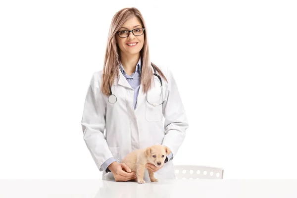 Jovem Veterinário Feminino Com Filhote Cachorro Bonito Isolado Fundo Branco — Fotografia de Stock