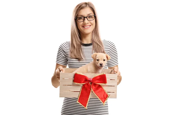 Jovem Segurando Filhote Cachorro Uma Caixa Madeira Com Arco Vermelho — Fotografia de Stock