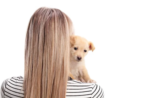 Studio Shot Female Hugging Puppy Her Shoulder Isolated White Background — Stock Photo, Image