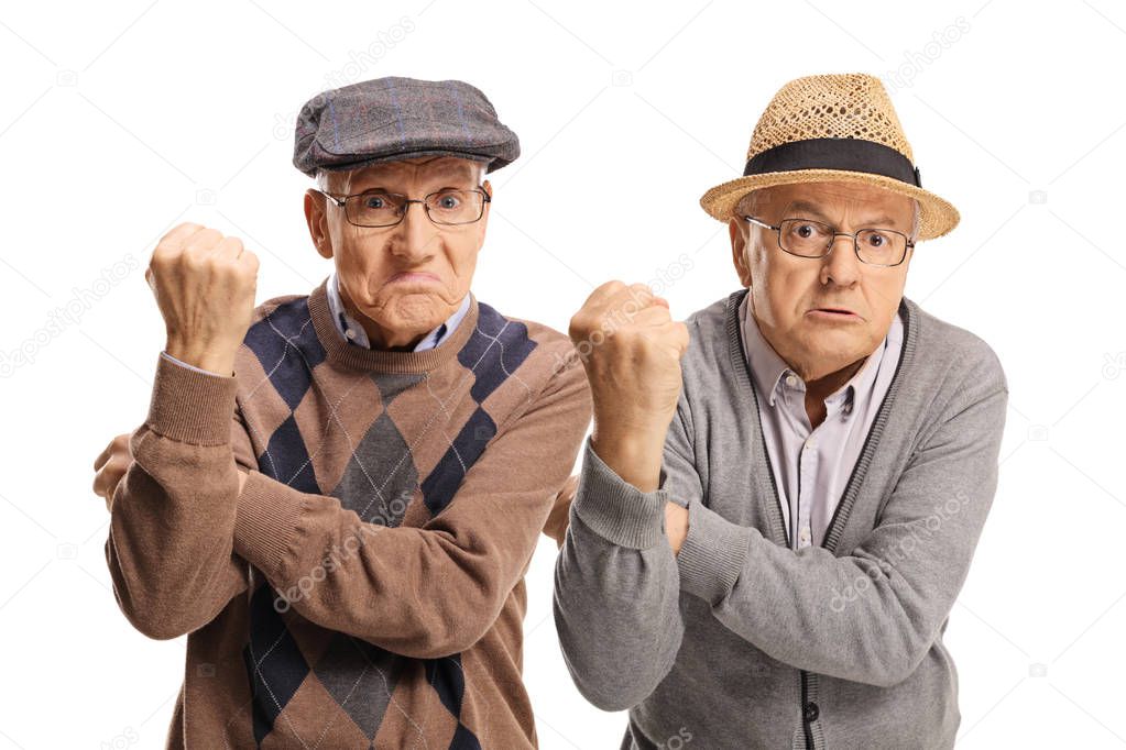 Two angry senior men gesturing with hands isolated on white background