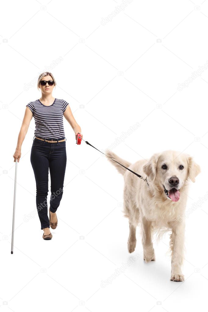 Full length portrait of a blind woman walking with the help of a dog isolated on white background