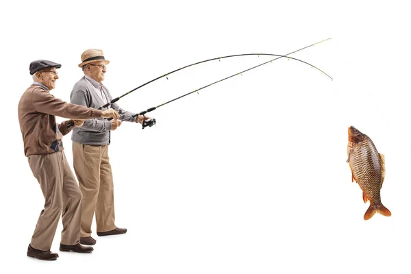 Tiro Comprimento Total Dois Pescadores Seniores Com Uma Grande Carpa — Fotografia de Stock