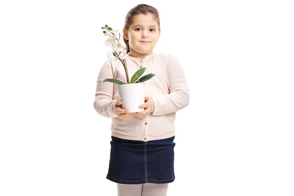 Schattig Klein Meisje Houdt Een Orchideebloem Geïsoleerd Witte Achtergrond — Stockfoto