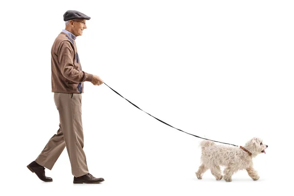 Profilbild Einer Seniorin Die Einen Hund Isoliert Auf Weißem Hintergrund — Stockfoto