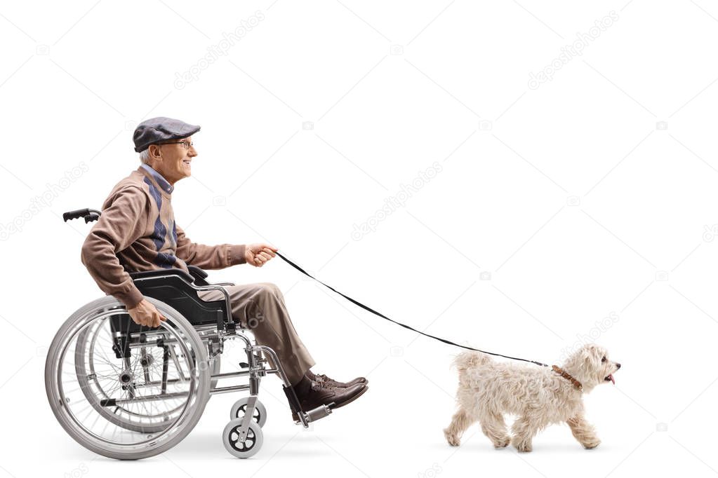 Full length profile shot of a senior man in a wheelchair walking a dog isolated on white background