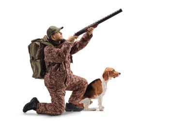 Bir av tüfeği ile diz çökmüş bir avcı tam uzunlukta çekim, yukarı hedefleyen ve onun yanında bir Beagle köpek beyaz arka planda izole
