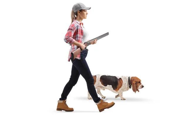 Full Length Profile Shot Young Woman Walking Shotgun Basset Hound — Stock Photo, Image