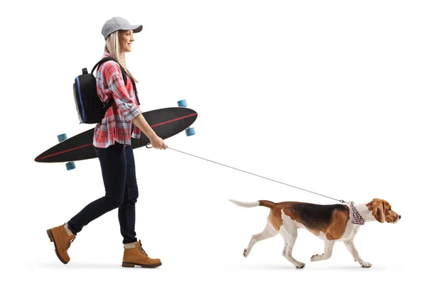 Полнометражный Снимок Женщины Фигуристки Длинной Доской Выгуливающей Собаку Белом Фоне — стоковое фото