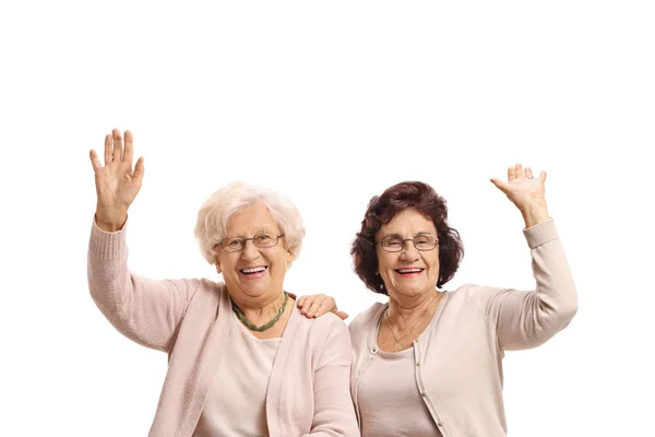 白い背景に孤立した手を振る2人の陽気な高齢女性 — ストック写真