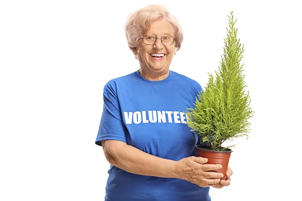 Anciana Voluntaria Sosteniendo Una Planta Sonriendo Cámara Aislada Sobre Fondo — Foto de Stock