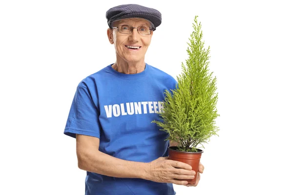 Senior Man Volunteer Holding Plant Smiling Isolated White Background — Stock Photo, Image