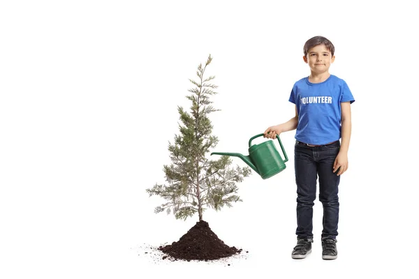 Full Length Portrait Boy Volunteer Pouring Water Planted Tree Isolated — Stock Photo, Image