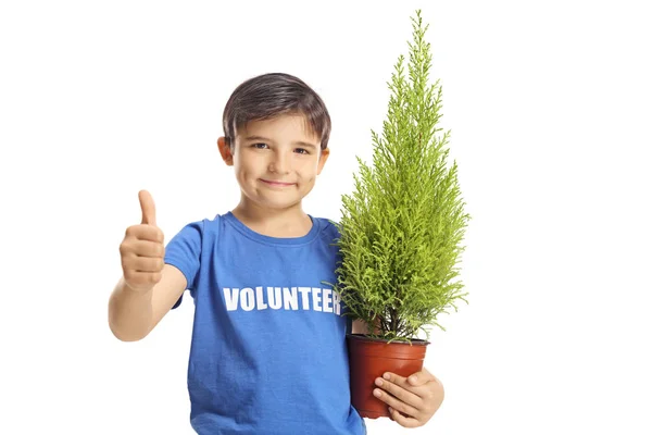 Joven Voluntario Con Una Planta Haciendo Pulgares Hacia Arriba Aislado —  Fotos de Stock