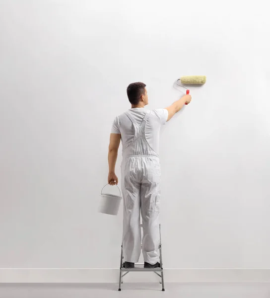 Vista Trasera Hombre Pintando Una Pared Una Escalera Aislada Sobre —  Fotos de Stock