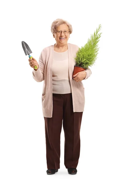 Full Length Portrait Senior Woman Holding Spade Plant Isolated White — Stock Photo, Image