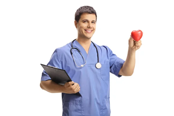 Young male doctor holding a small red heart — Stock Photo, Image
