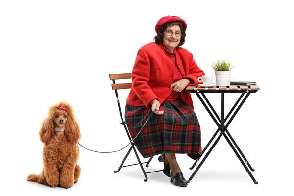 Senior Lady zittend in een café met een verzorgde rode poedel — Stockfoto