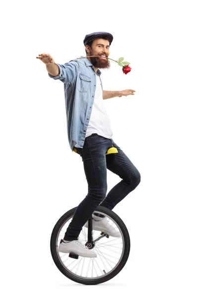 Повнометражний Знімок Бородатого Хлопця Уніциклі Тримає Червону Троянду Ротом Ізольовано — стокове фото