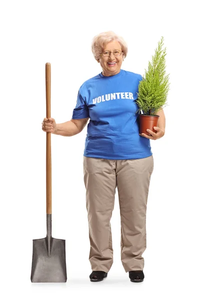 Mujer mayor voluntaria con una pala y una planta — Foto de Stock