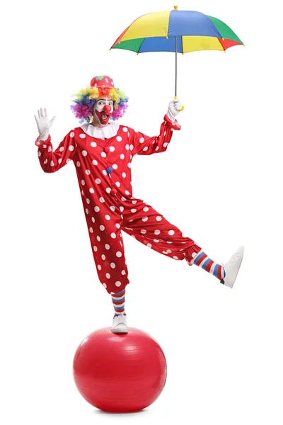 Полный Портрет Смешного Клоуна Держащего Зонтик Стоящего Гигантском Шаре Белом — стоковое фото