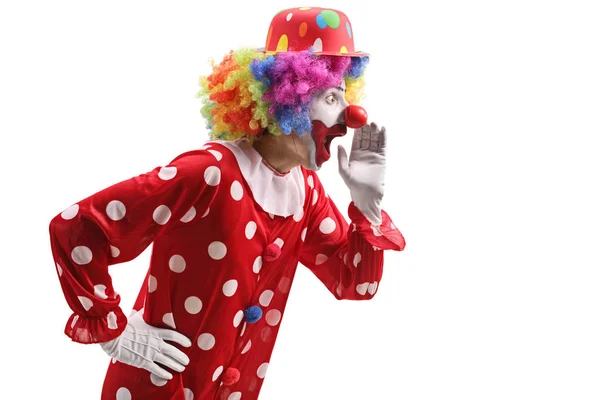 Profil strzał zaskoczony clown Szepty — Zdjęcie stockowe