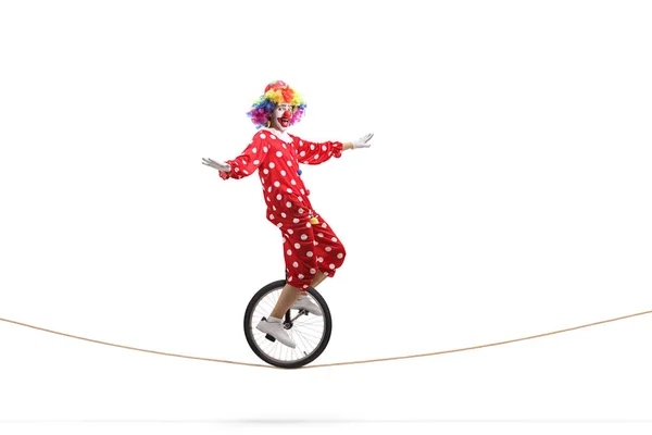 Cown riding a unicycle on a rope — Stock Photo, Image